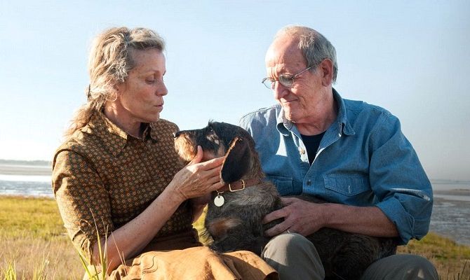 Олівія Кіттерідж, серіал