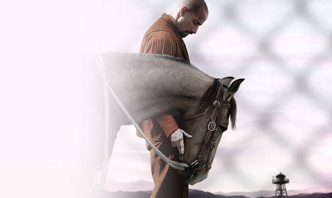 Мустанг, фільм