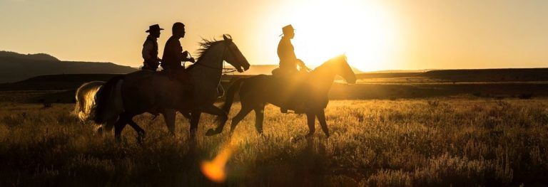 Фільми про ковбоїв