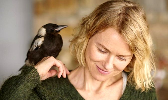 История семьи Блум, фильм