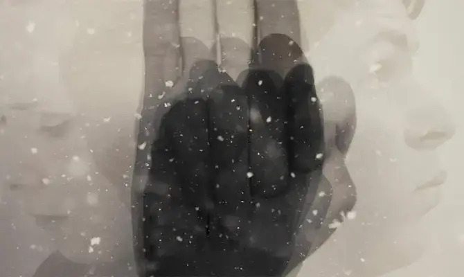 Плем'я (2014)